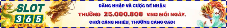 Hình ảnh minh họa người dùng đang quản lý quyền riêng tư của mình trên vip666