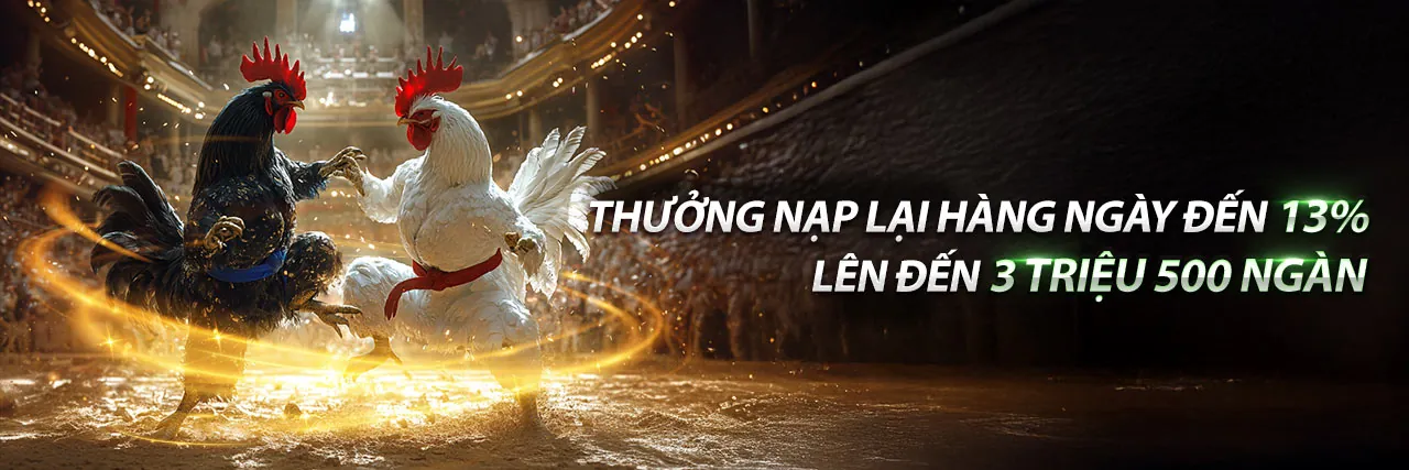 Đá Gà Trực Tuyến Sôi Động tại VIP666